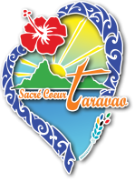 Bienvenue sur la plateforme d'apprentissage en ligne des établissements scolaires du Sacré-Cœur de Taravao !
