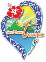 Bienvenue sur la plateforme d'apprentissage en ligne du groupe Scolaire Sacré-Coeur de Taravao !